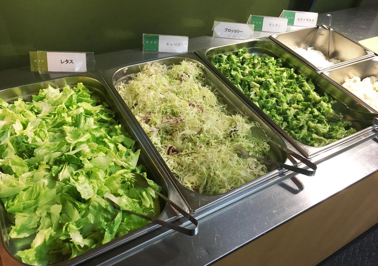 伊藤恩新樱花酒店 传统日式旅馆 日光
