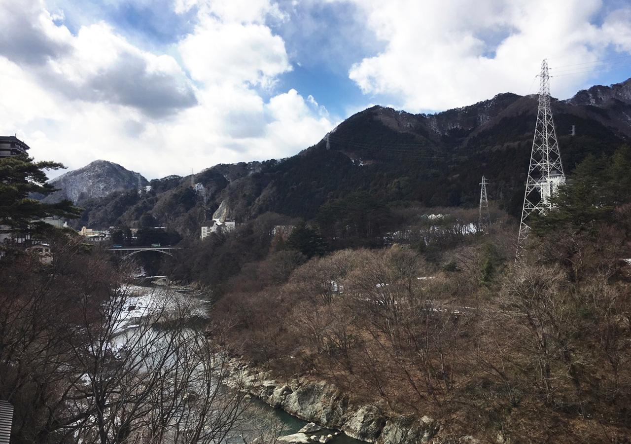 Itoen New Sakura